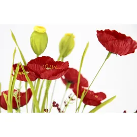 MY HOME »Mohnblumen« 2er Set rot