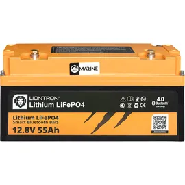 LIONTRON LIO Lithium-Akku 12,8V 55Ah
