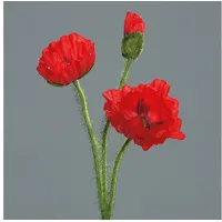Seidenblumen Roß Mohnzweig mit 2 Blüten und 1 Knospe