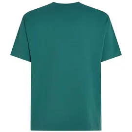 O'Neill O'riginals Front Stripe T-shirt botanical heat (15097) S