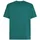 O'Neill O'riginals Front Stripe T-shirt botanical heat (15097) S