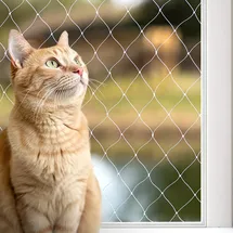LIONTO Balkonschutznetz zur Sicherung von Katzen 3x8 m transparent