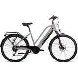 Saxonette E-Bike SAXONETTE "Deluxe Sport Lady" E-Bikes Gr. 50 cm, 28 Zoll (71,12 cm), silberfarben (silberfarben matt) E-Bikes