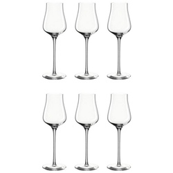 LEONARDO Schnapsglas Grappaglas 6er Set 210 ml BRUNELLI, Glas weiß
