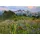 Heye Puzzle 2000 Teile