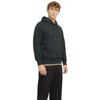 JACK & JONES Frederiksberg Kapuzenpullover Forest River M