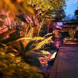 Philips Hue White & Color Ambiance Amarant Wandfluter 1400lm 2er Pack