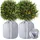 luxuskollektion Thermo Topfschutz 70 x 65 cm 2er Set