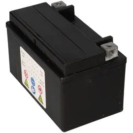 Landport Batterie AGM SLA 12V 6000 mAh 1 St.