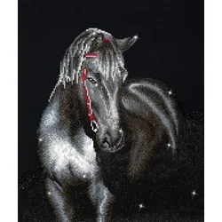 DIAMOND DOTZ® DD10.012 Original Diamond Painting Midnight Stallion 53 x 42 cm