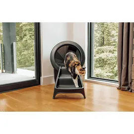 whisker Litter-Robot 4 Rampe 432 mm Schwarz 178 mm