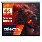Celexon basic Rollo-Leinwand 135" | 240x240 cm 1:1 | ausziehbare Full-HD 4K Beamer-Leinwand für Heimkino oder Büro-Präsentationen | Projektionsl...