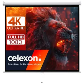 Celexon basic Rollo-Leinwand 135" | 240x240 cm 1:1 | ausziehbare Full-HD 4K Beamer-Leinwand für Heimkino oder Büro-Präsentationen | Projektionsl...