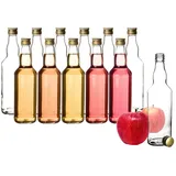 BigDean Glasflasche 500 ml 12 St.