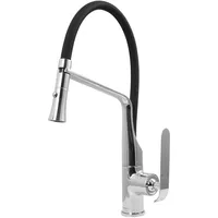 Welfenstein Spültisch Armatur Wasserhahn Spüle Küchenarmatur ST-BZ