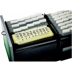 Hängemappenbox Leitz Termin-Sets schwarz Packung mit 4 Stück