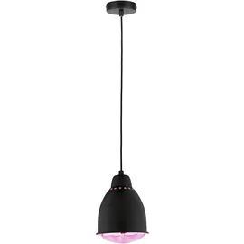 Paulmann Hilla 1-flg. Ø 14,5 cm rund schwarz Metall dimmbar
