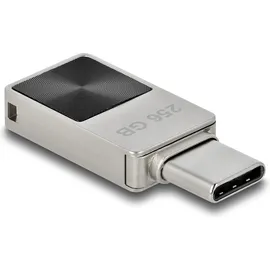 Delock 54009 USB-Stick 256 GB, USB C), USB Stick, Grau,