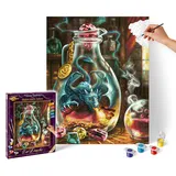 Schipper Malen nach Zahlen - Der Drache 40 x 50 cm