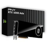 PNY RTX 6000 Ada 48GB GDDR6 4x DP