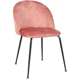 Stones Calypso - Rosa Samtstuhl 2-tlg