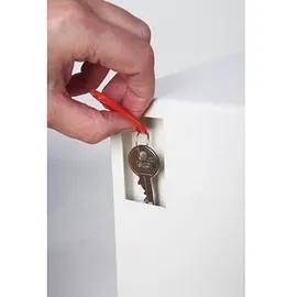 Phoenix Cygnus Key KS0033E