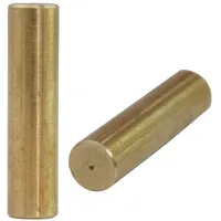 Trutzholm Scherstift für Seilzug 1,6t & 3,2t Messing ⌀7 mm Ersatzstift für Seilwinde st...