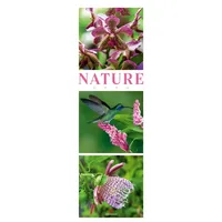 Ackermann Nature Triplet-Kalender 2026