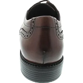 LLOYD Tampico Business Schuh, Braun - 43