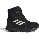 Adidas Terrex Snow Hook-And-Loop COLD.RDY Winter Core Black / Chalk White / Grey Four 33