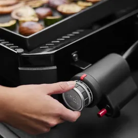 Weber Slate GP 43 cm Premium Plancha