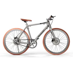 Sharp Hybrid E-Bike - silber
