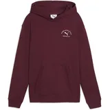 Puma Class Relaxed Hoodie TR G