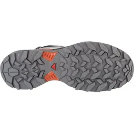 Salomon X Ultra 360 GTX Herren Quiet Shade / Black / Spice Route 42
