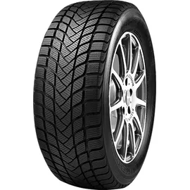 Mastersteel Winterplus 1 IS-W 195/65 R15 91H