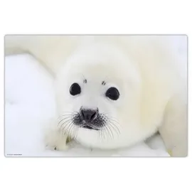 cover-your-desk.de Cover-your-desk Schreibtischunterlage Süße weiße Robbe , 60 x 40 cm