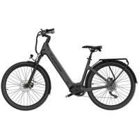 Vanpowers Urban Glide Ultra E-Bike Eisengrau Größe L Tiefeinsteiger, 110 km Reichweite & 25 km/h