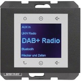 Berker Radio DAB+, Bt., K.x anth.