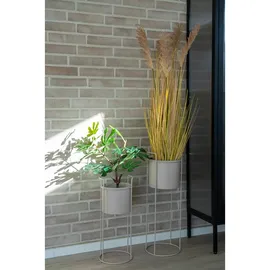 VCM Rabo 22 x 22 cm Beige