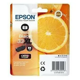 Epson 33XL photo schwarz