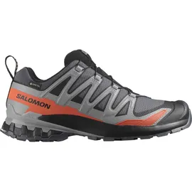 Salomon XA Pro 3D V9 GTX Herren Turbulence/Black/Burnt Ochre 46 2/3