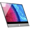 Display 13.3" (33,8cm) FullHD Mobiler Monitor 16:9 USB-C 60Hz