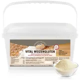 GOLDEN PEANUT Vital Weizengluten 5 kg - vegan, Weizeneiweiß, Seitan, Herstellung von Fleischersatz