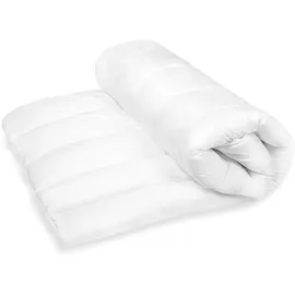 FH FAM' HOME HOME COSINESS FAM Home Bettdecke 140x200 Weiche Mikrofaser Waschbar Ganzjährig I Zudecke Antiallergisch für Allergiker I Gesteppte Steppdecke