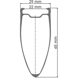 DT Swiss ARC 1100 Dicut 65 mm | 12x142 mm, St