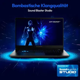 Medion Erazer Defender 17 P1 Intel Core i7-13620H 16 GB RAM 1 TB SSD RTX 5060 FreeDOS