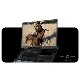 Dell Alienware 18 Area-51 18'' Intel Core Ultra 9 275HX 64 GB RAM 2 TB SSD RTX 5090 Win 11 Home