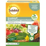 Solabiol Natriumhydrogencarbonat Grundstoff 350 g