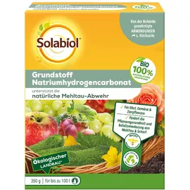 Solabiol Natriumhydrogencarbonat Grundstoff 350 g