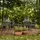 konsimo® FICCARI Gartenmöbel-Set 8-tlg. grau